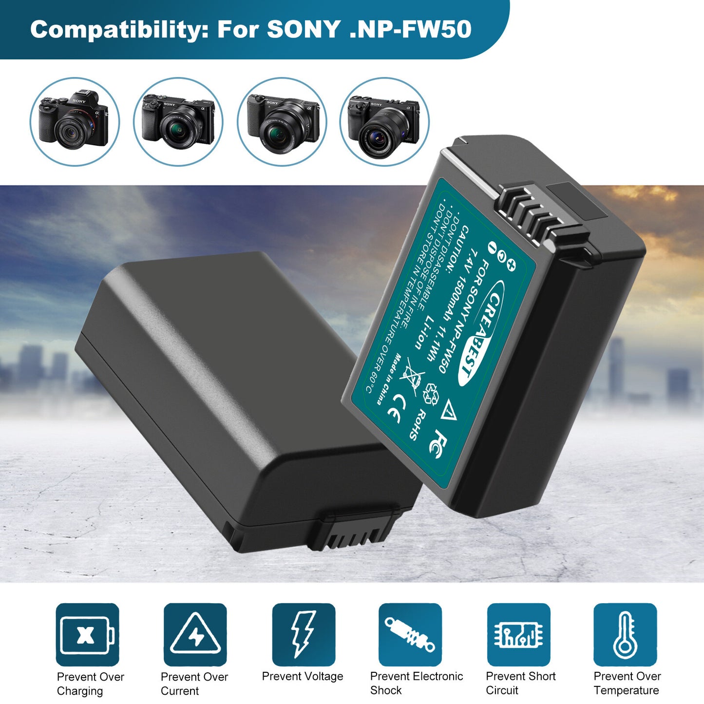 2X NP-FW50 Batteries et chargeur rapide pour Sony A6500 A6000 A7R A7RII A7S A7II RX10