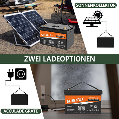 SHENTEC Batterie LiFePO4 12/24V 100/150/200/300Ah avec BMS pour bateau solaire, hors réseau et camping-car