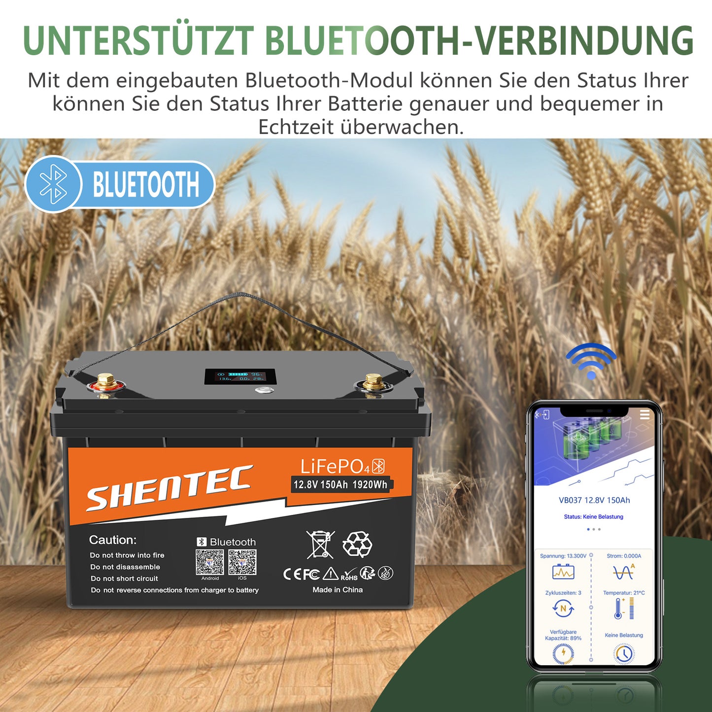 SHENTEC Batterie LiFePO4 12/24V 100/150/200/300Ah avec BMS pour bateau solaire, hors réseau et camping-car
