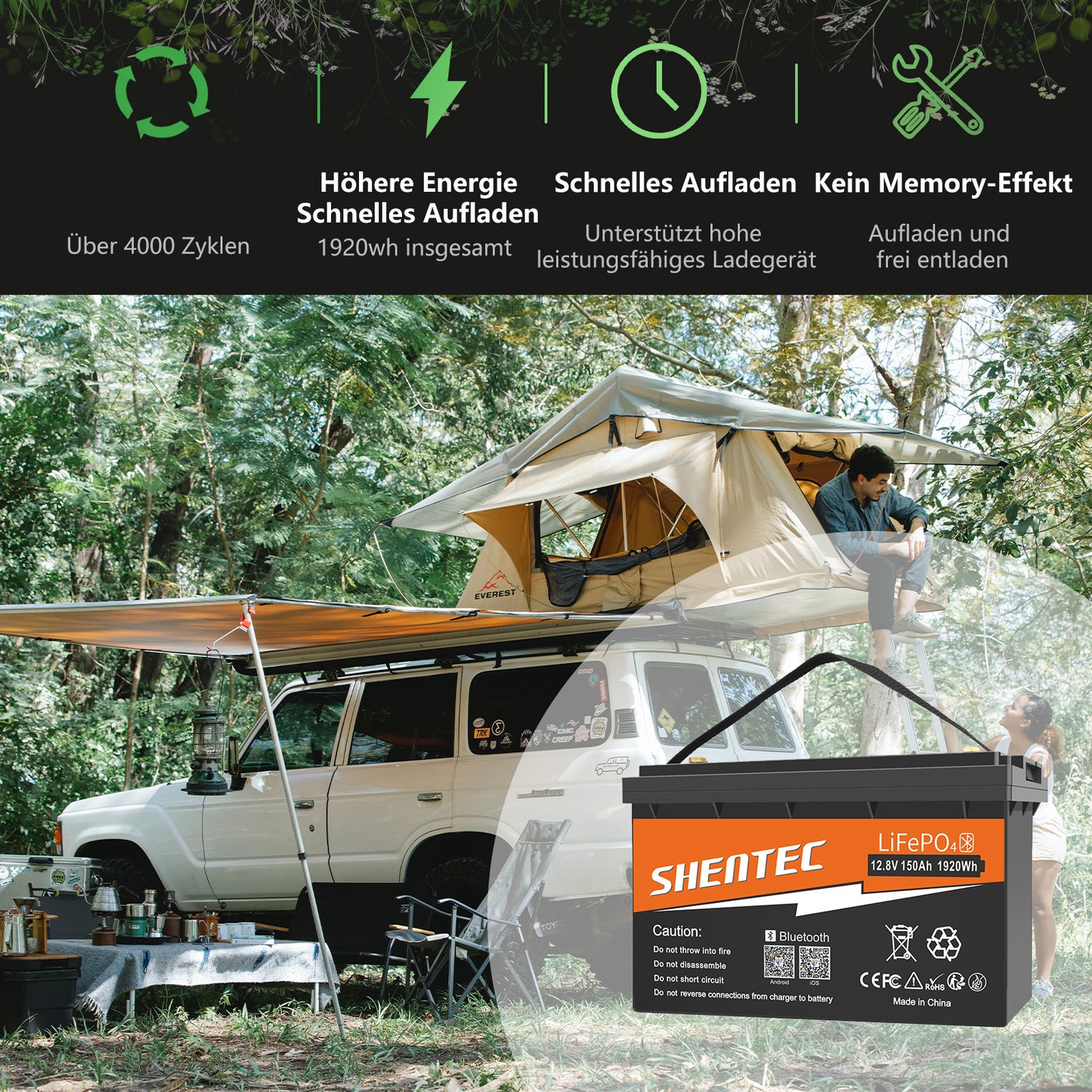 SHENTEC Batterie LiFePO4 12/24V 100/150/200/300Ah avec BMS pour bateau solaire, hors réseau et camping-car
