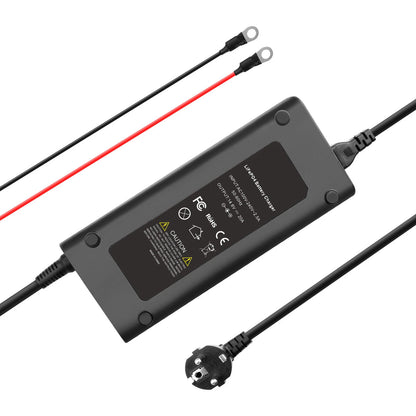 SHENTEC Chargeur de batterie LiFePO4 14,6V 20A pour batteries au phosphate de fer lithium 12V avec bornes M8 et pinces crocodiles